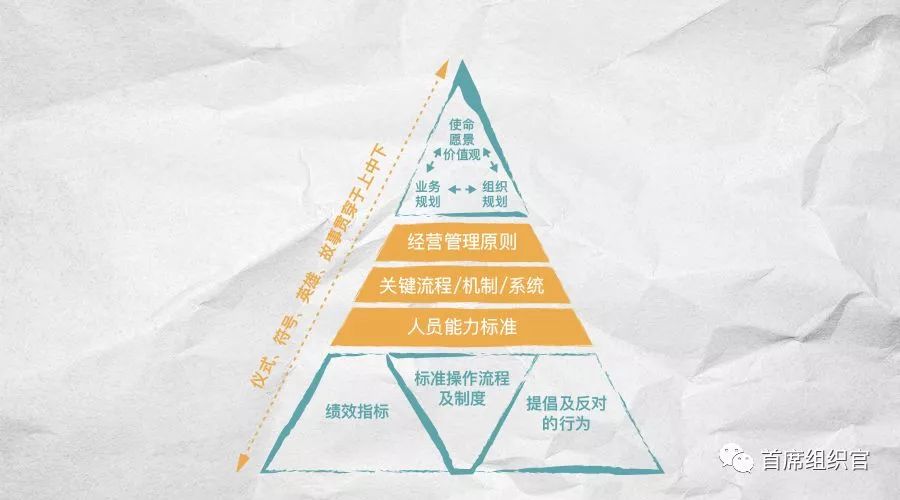 1561347616252690.jpg 头图-原图.jpg