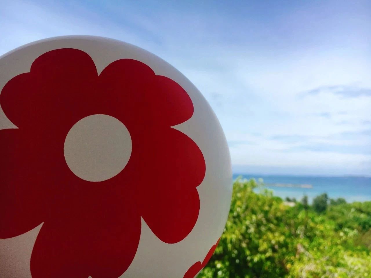 1570764505900905.jpg 0.jpg