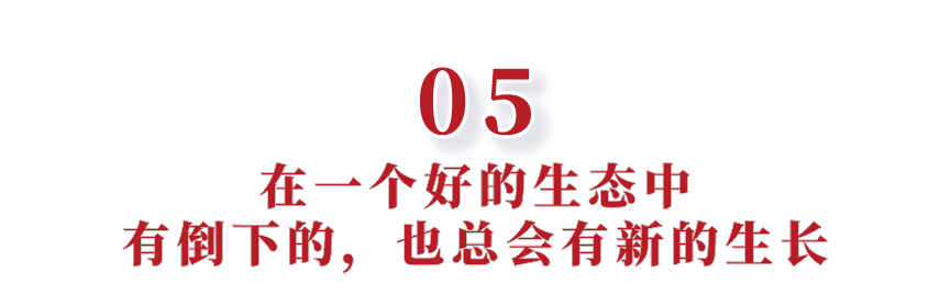 1604555414698273.png 05.png