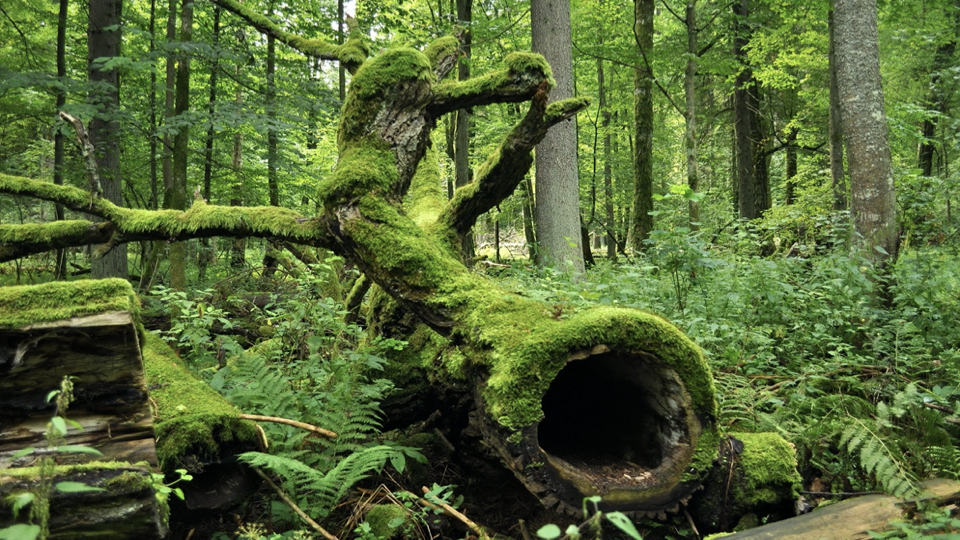 1604555441320262.png 6.png