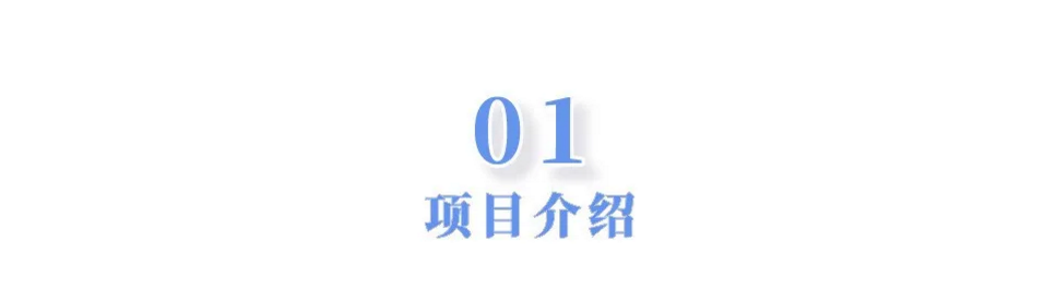 1608270413569767.png 项目介绍1.png